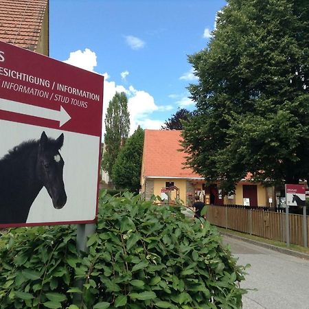 Weststeirische Ferienwohnung Piber Eksteriør bilde