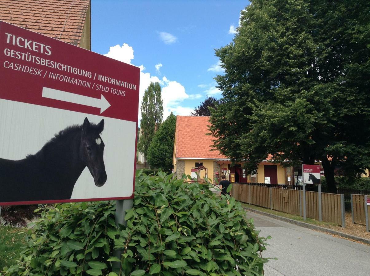 Weststeirische Ferienwohnung Piber Eksteriør bilde